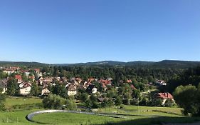 Apartamenty w ogrodzie